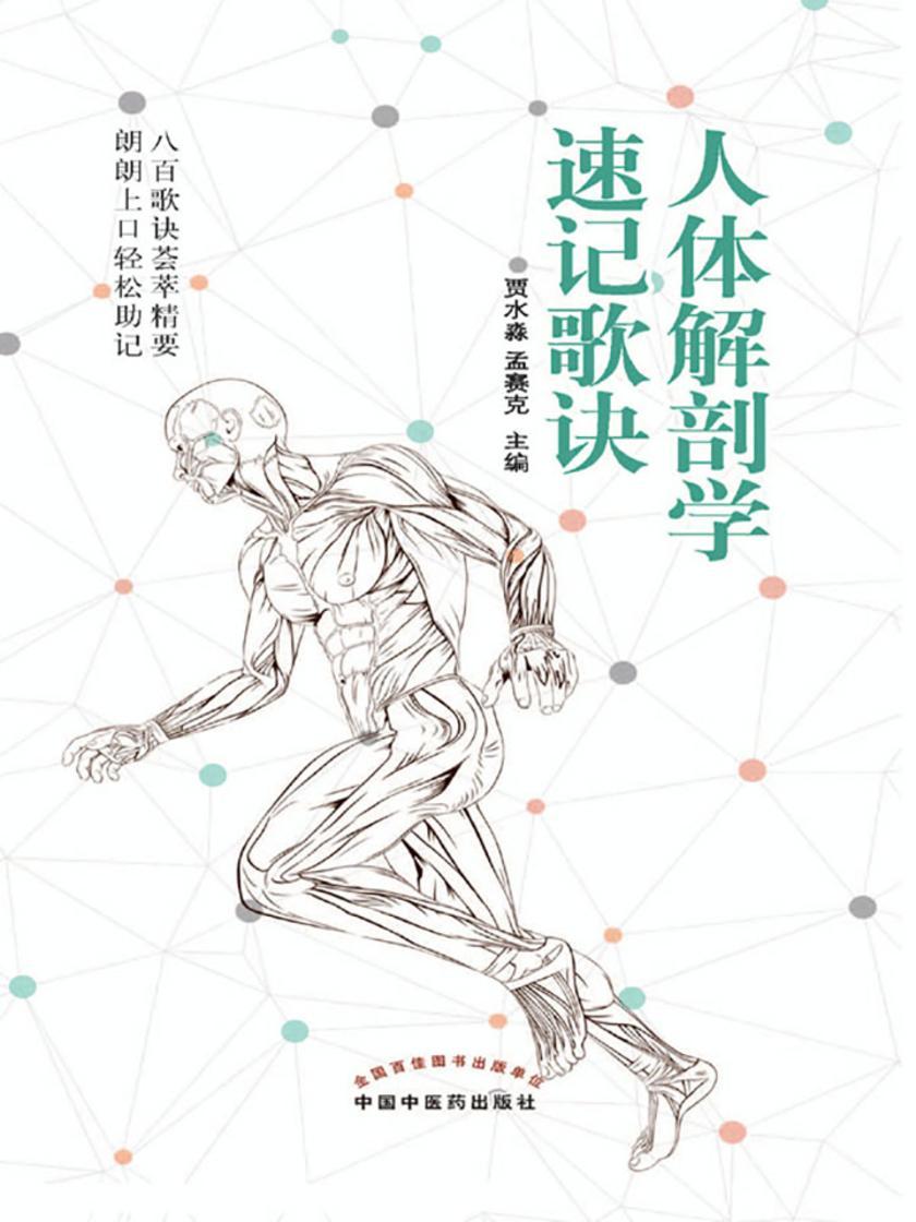 人体解剖学速记歌诀