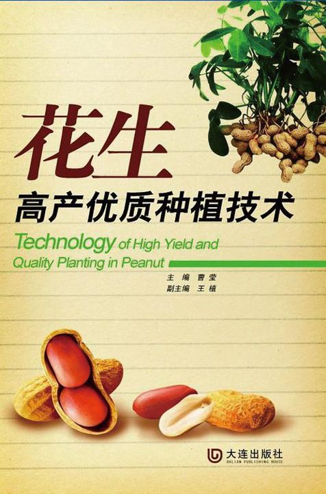 花生高产优质种植技术