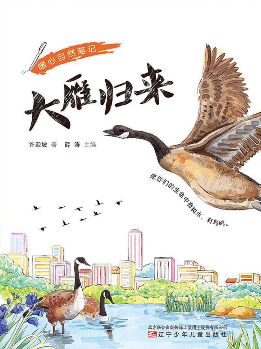 暖心自然笔记:大雁归来