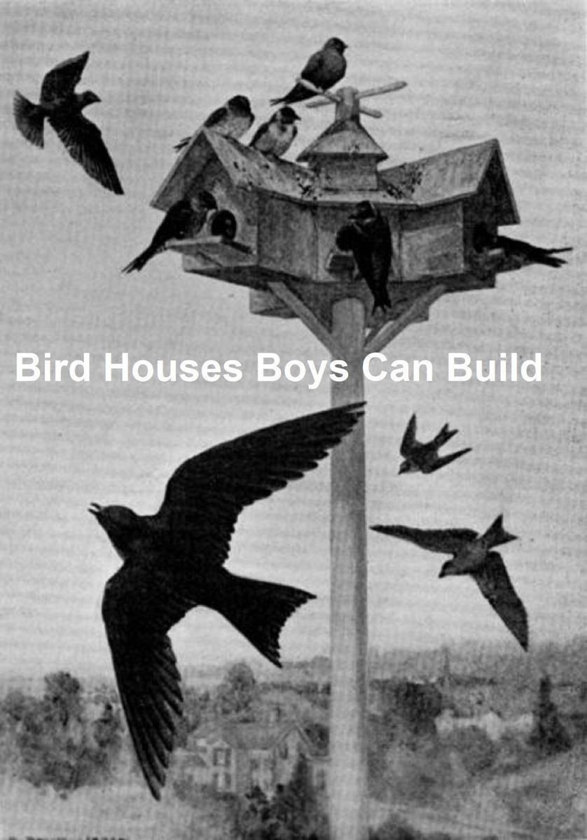 Bird Houses Boys Can Build