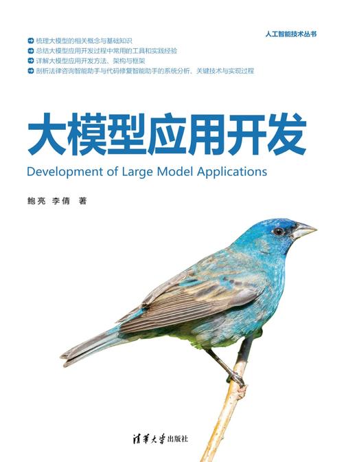 大模型应用开发