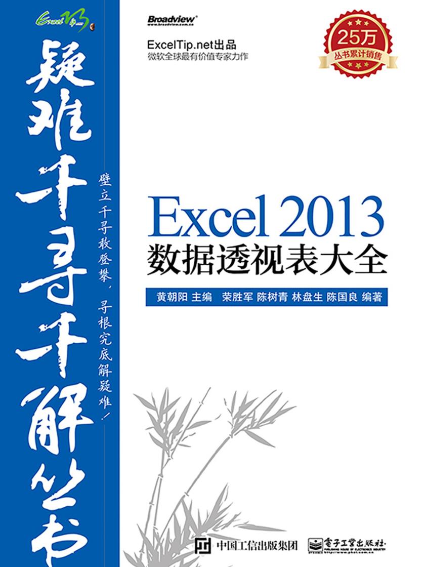 Excel 2013数据透视表大全