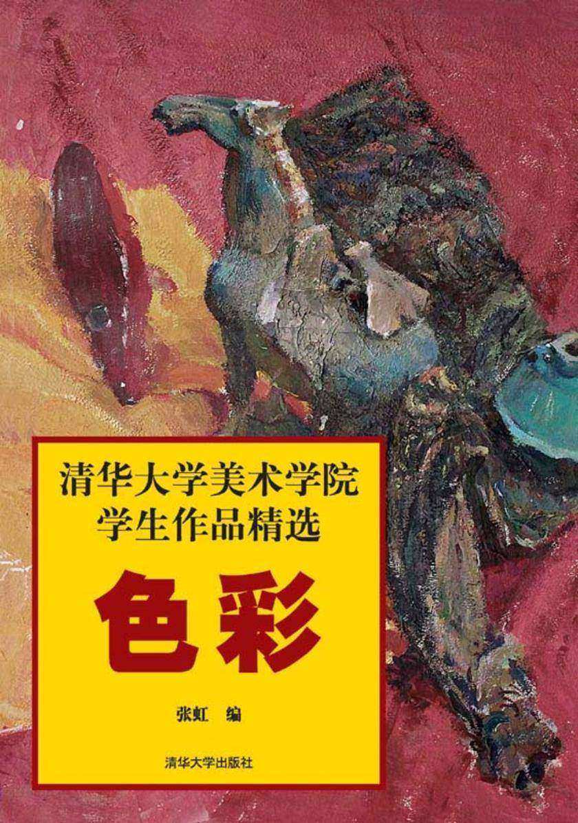 清华大学美术学院学生作品精选.色彩
