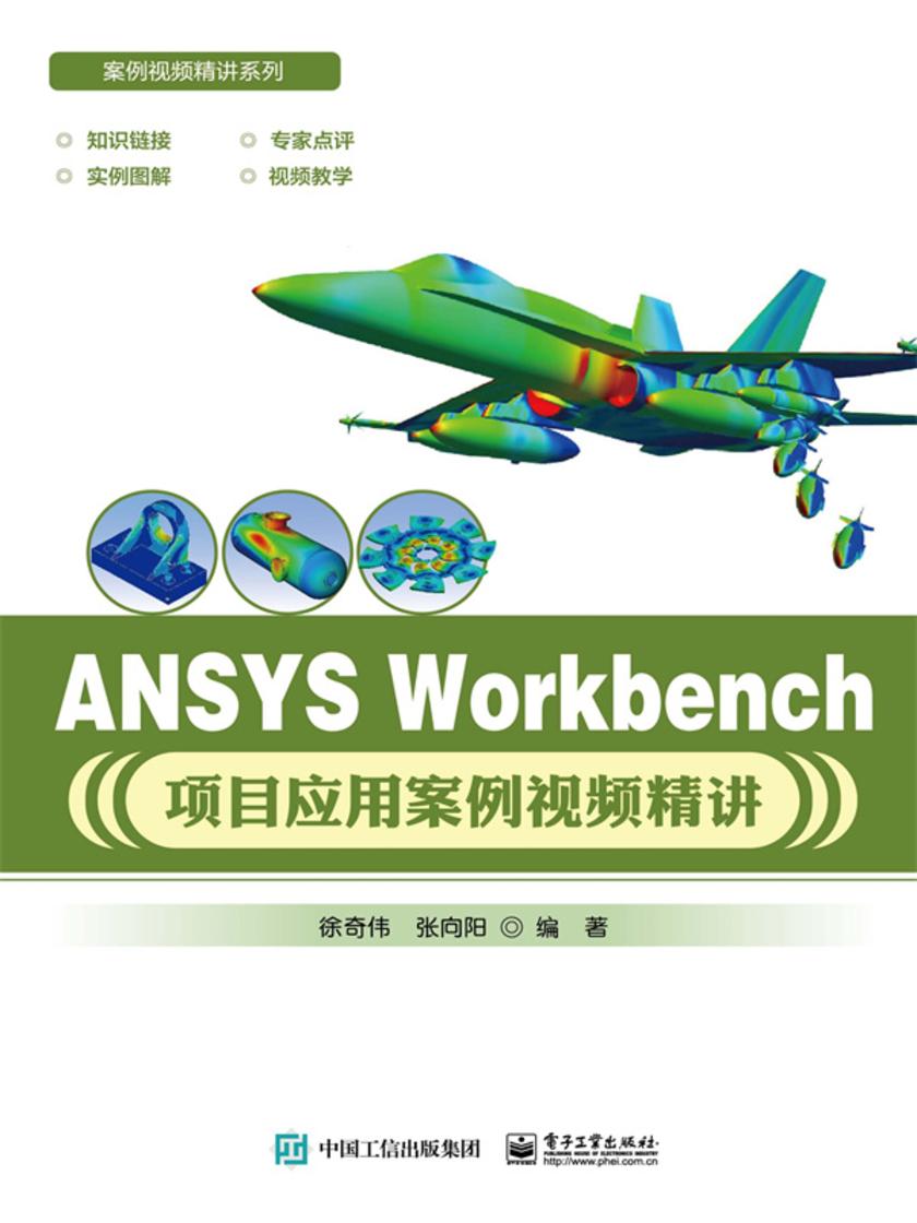 ANSYS Workbench项目应用案例视频精讲