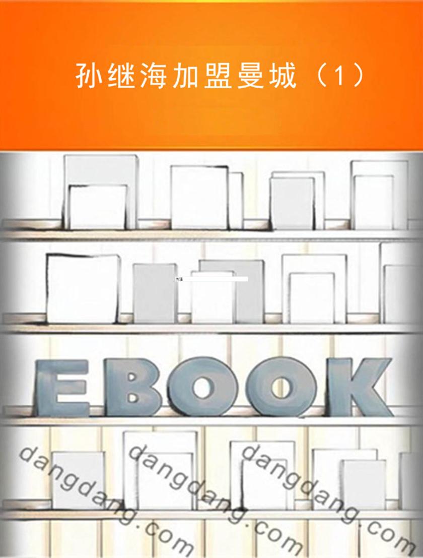 孙继海加盟曼城（1）
