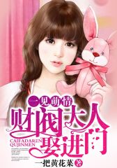 一见萌情：财阀大人娶进门