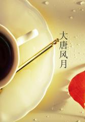 大唐风月