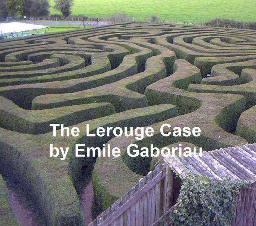 The LeRouge Case