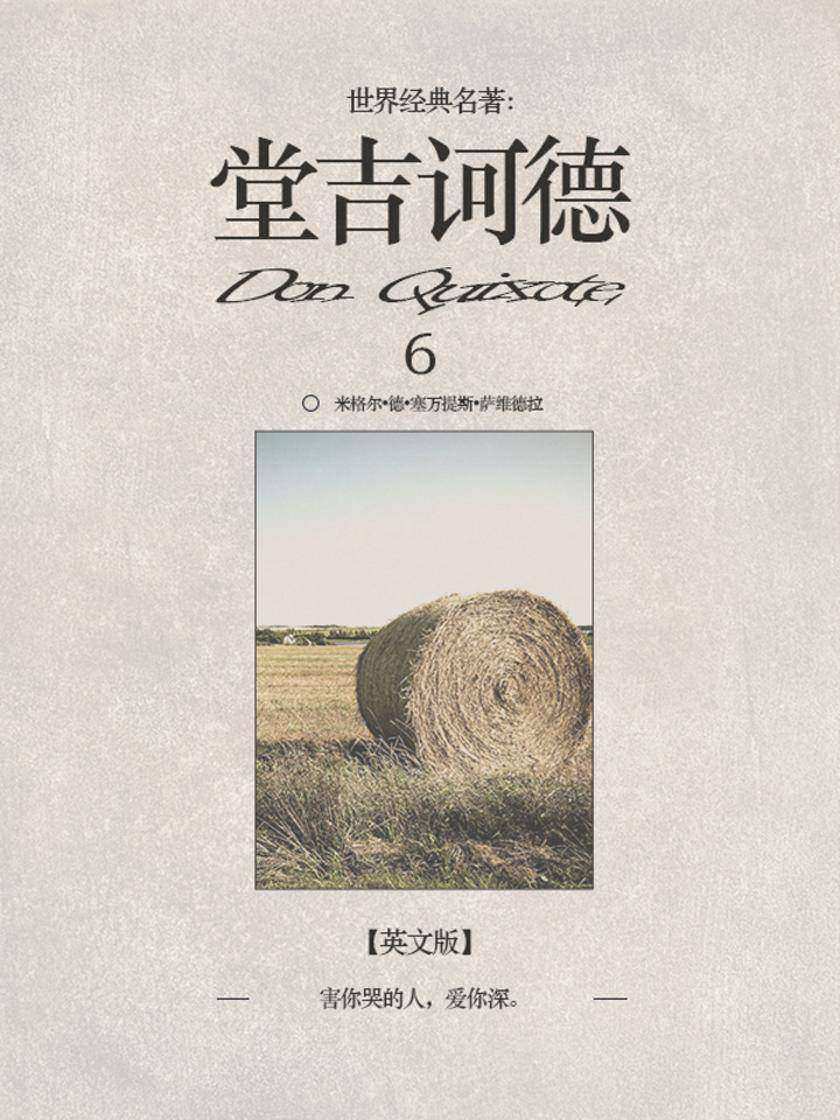 堂吉诃德6（英文版）