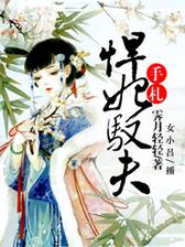 悍妃驭夫手札