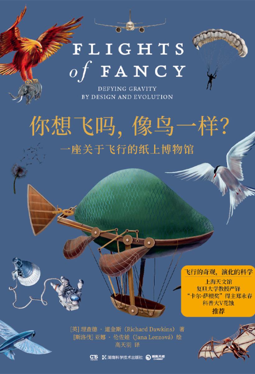 你想飞吗,像鸟一样?