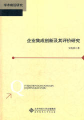 企业集成创新及其评价研究