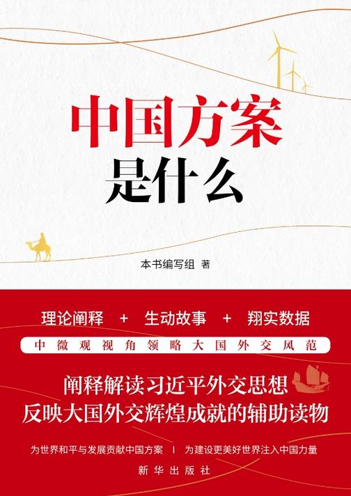 中国方案是什么