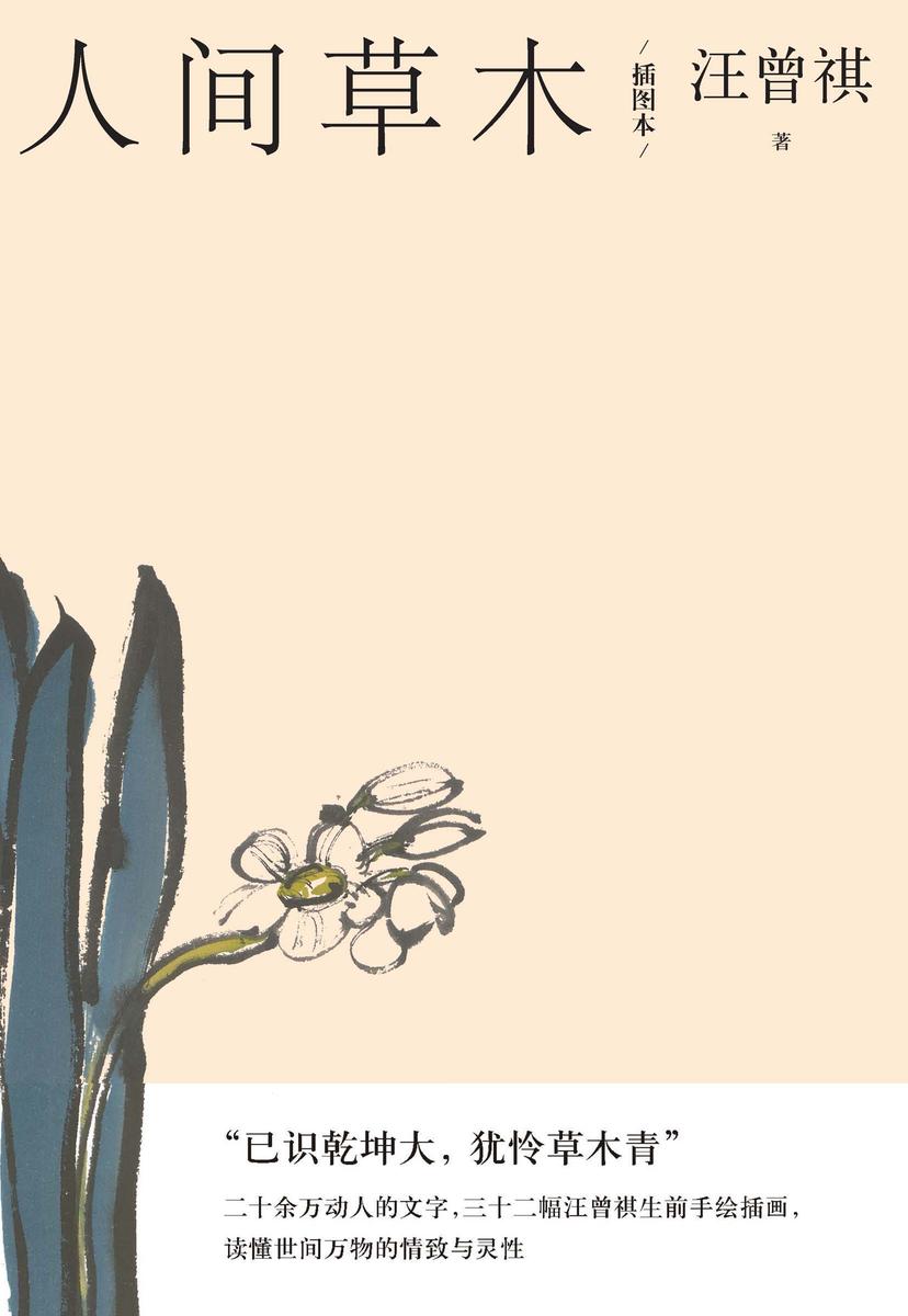 人间草木：插图本