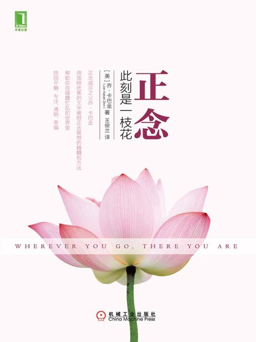 正念:此刻是一枝花