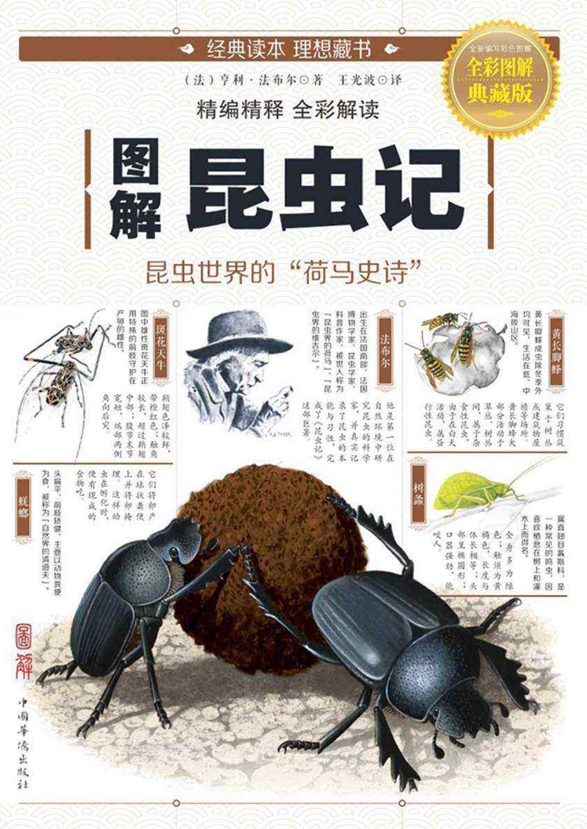图解昆虫记
