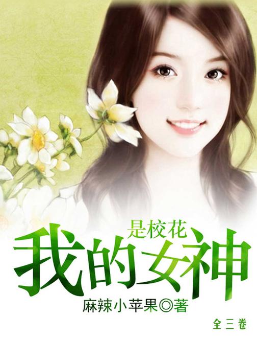 我的女神是校花(全三卷)