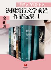 法国流行文学前沿作品选集1(共6册)