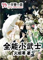 全能小武士