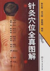 针灸穴位全真图解