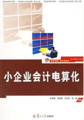 小企业会计电算化(仅适用PC阅读)