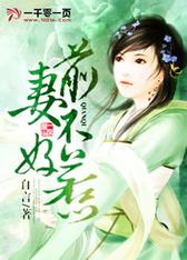 前妻不好惹