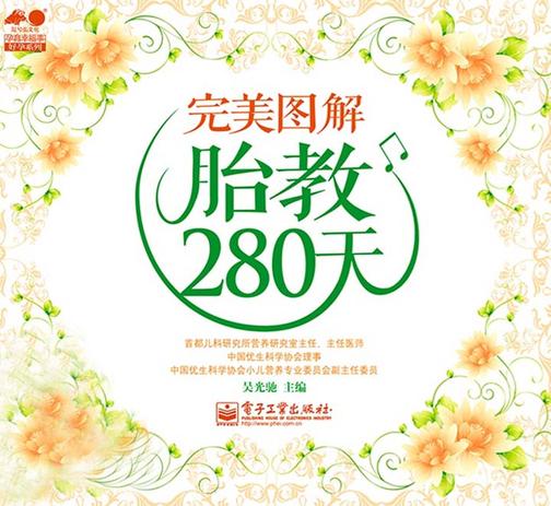 完美图解胎教280天