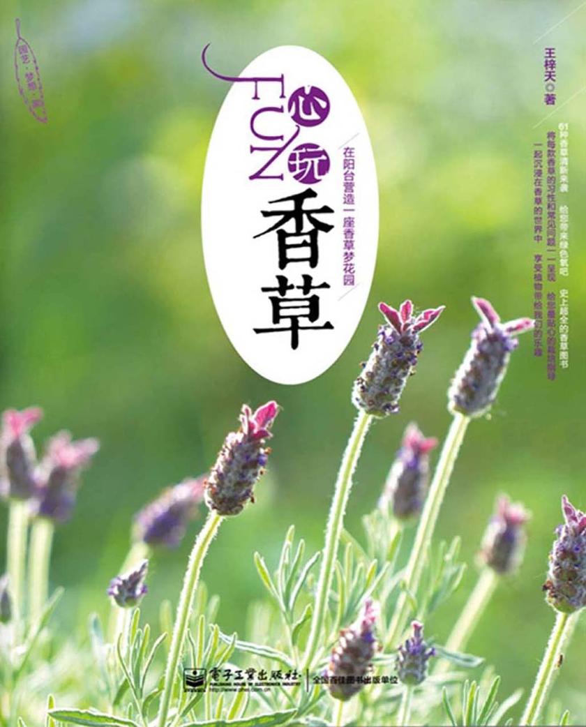 FUN心玩香草