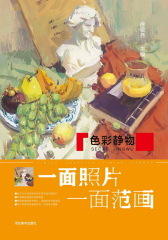 一面照片一面范画.色彩静物(仅适用PC阅读)