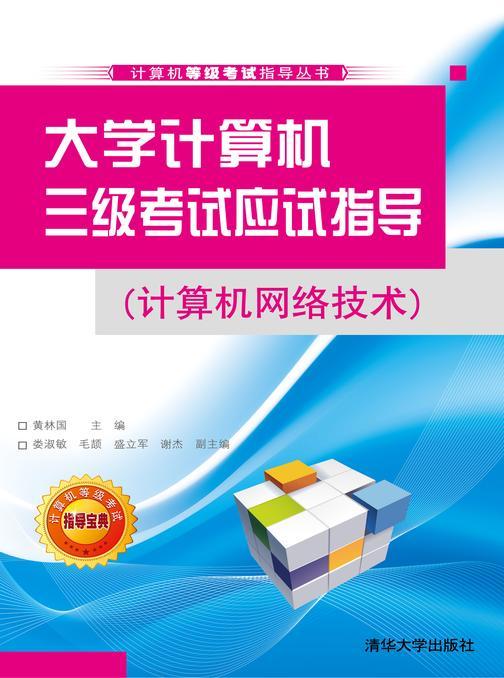 大学计算机三级考试应试指导（计算机网络技术）