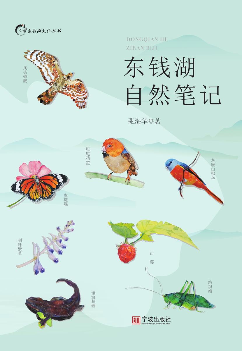 东钱湖自然笔记