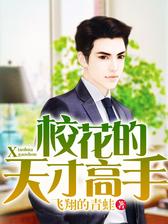 校花的天才高手