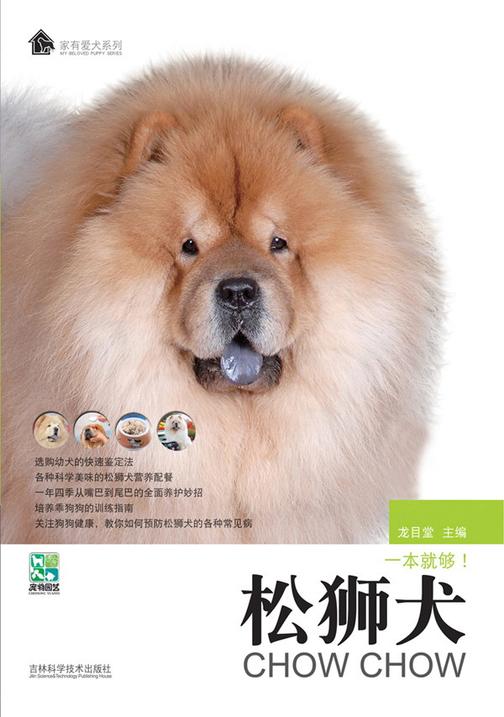 松狮犬