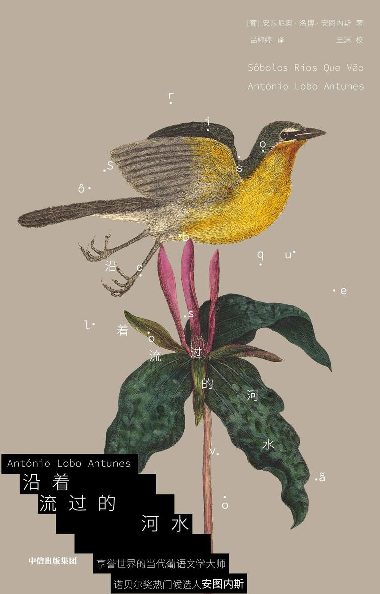 沿着流过的河水