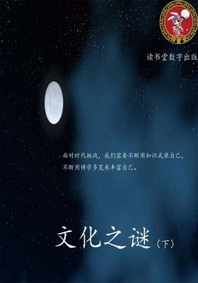 文化之谜(下)
