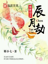 双世引之辰月劫