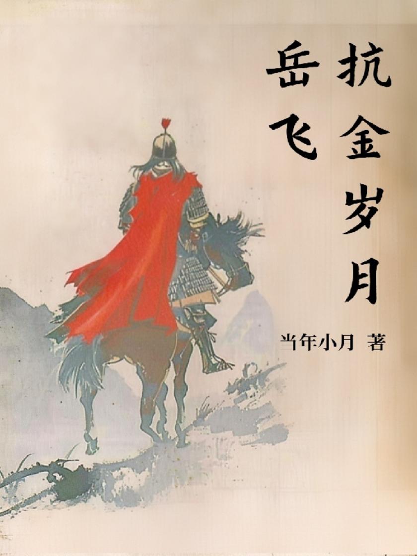 岳飞:抗金岁月