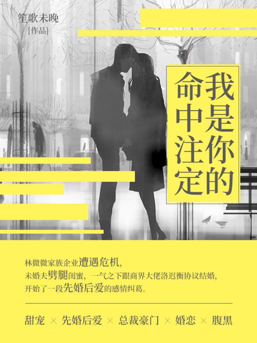 我是你的命中注定(第3卷)