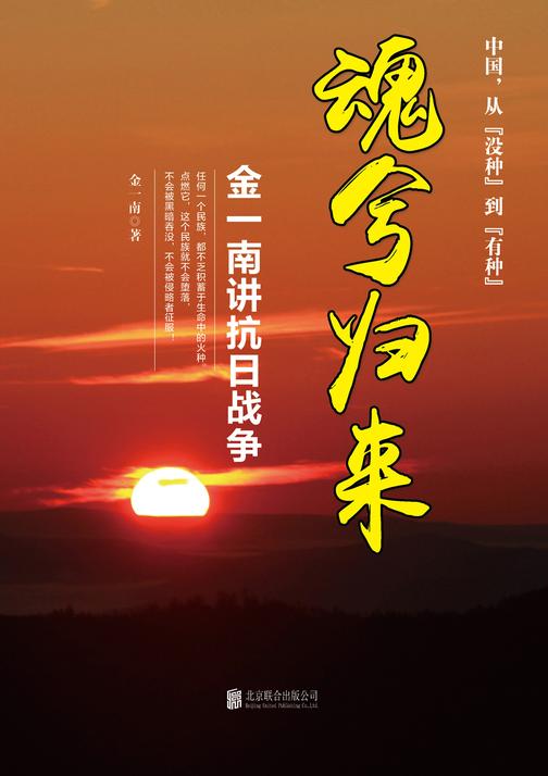 魂兮归来：金一南讲抗日战争
