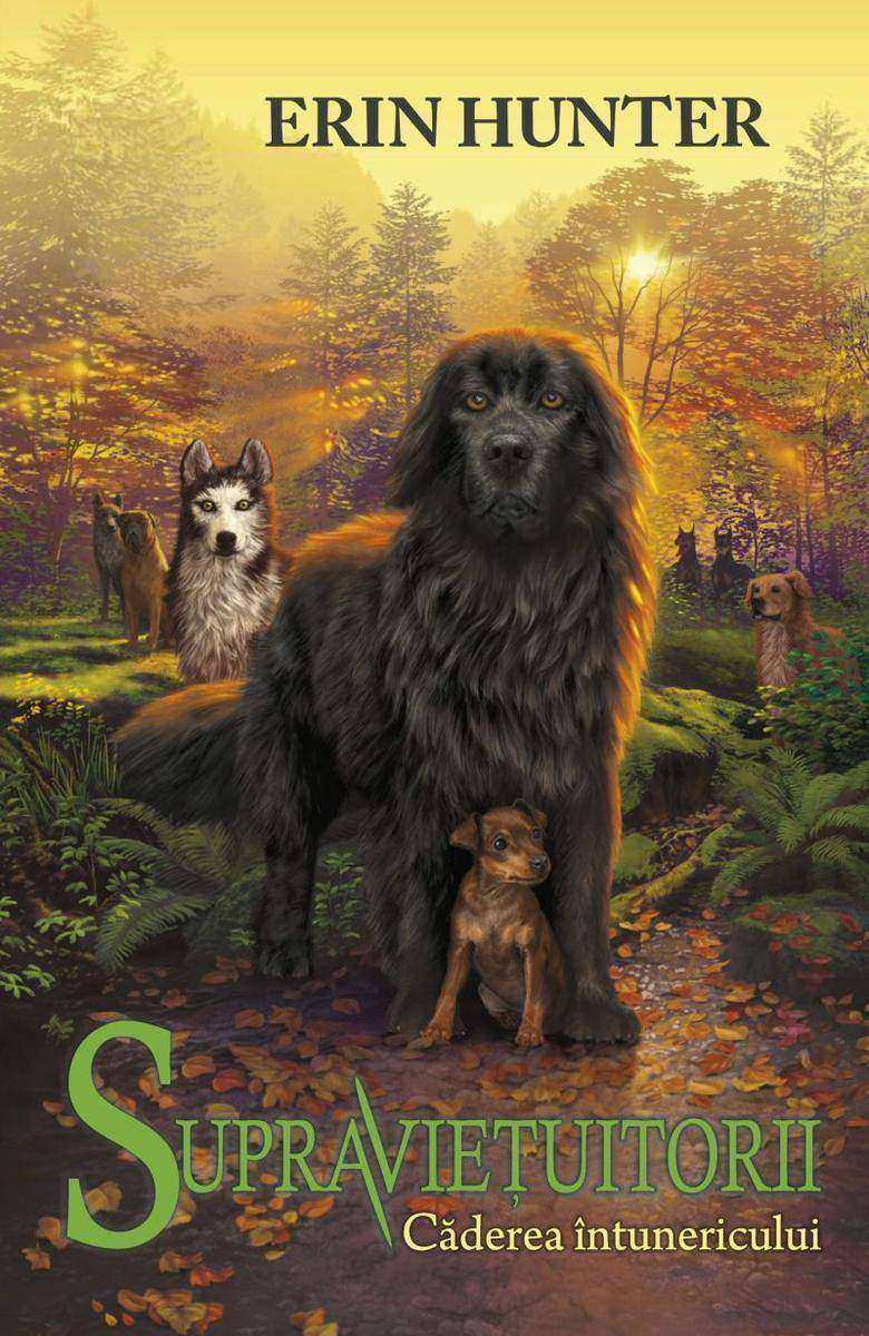 Supravietui?orii. Cartea a III-a - C?derea ?ntunericului