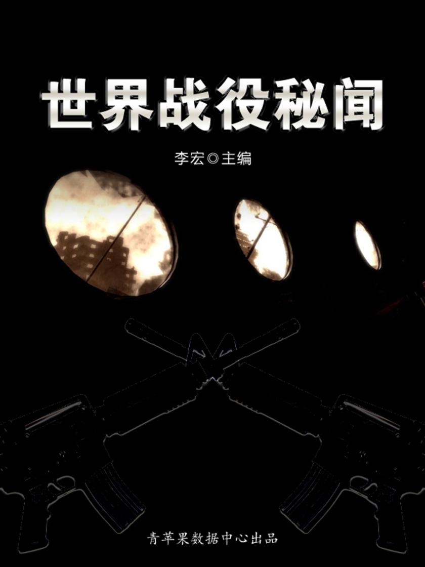 世界战役秘闻(世界军事之旅)