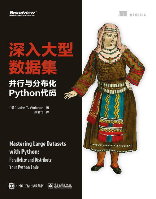 深入大型数据集:并行与分布化Python代码