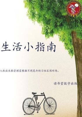 生活小指南