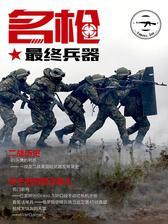 名枪22：最终兵器