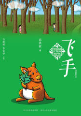 飞手
