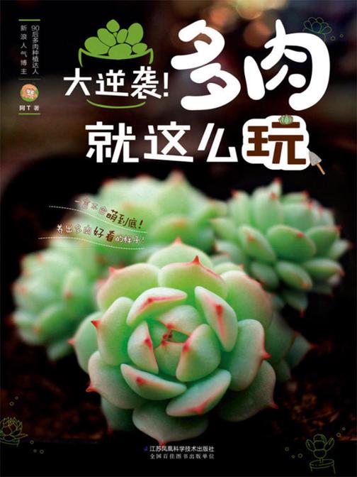 大逆袭！多肉就这么玩