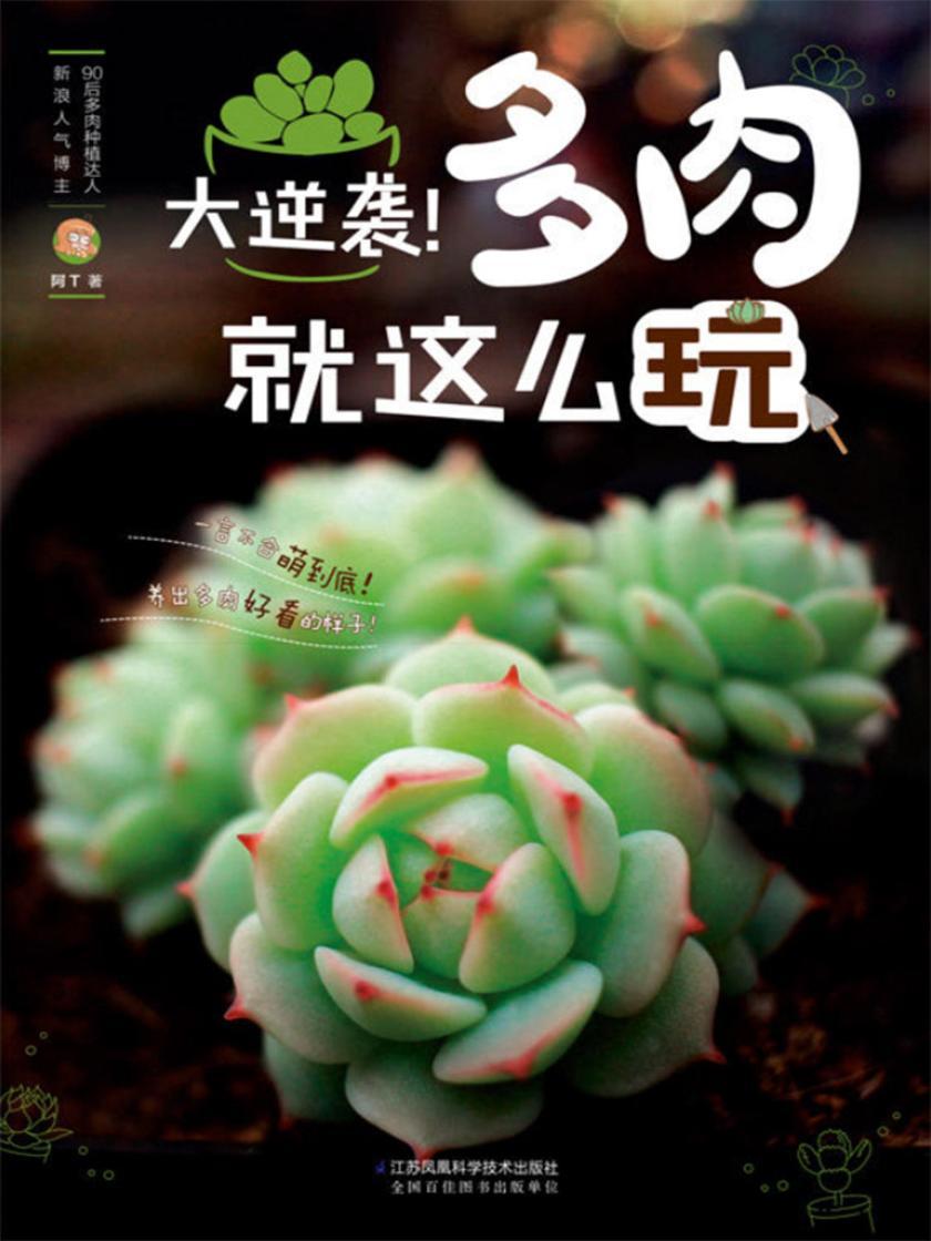 大逆袭！多肉就这么玩