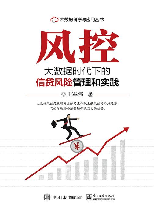 风控：大数据时代下的信贷风险管理和实践