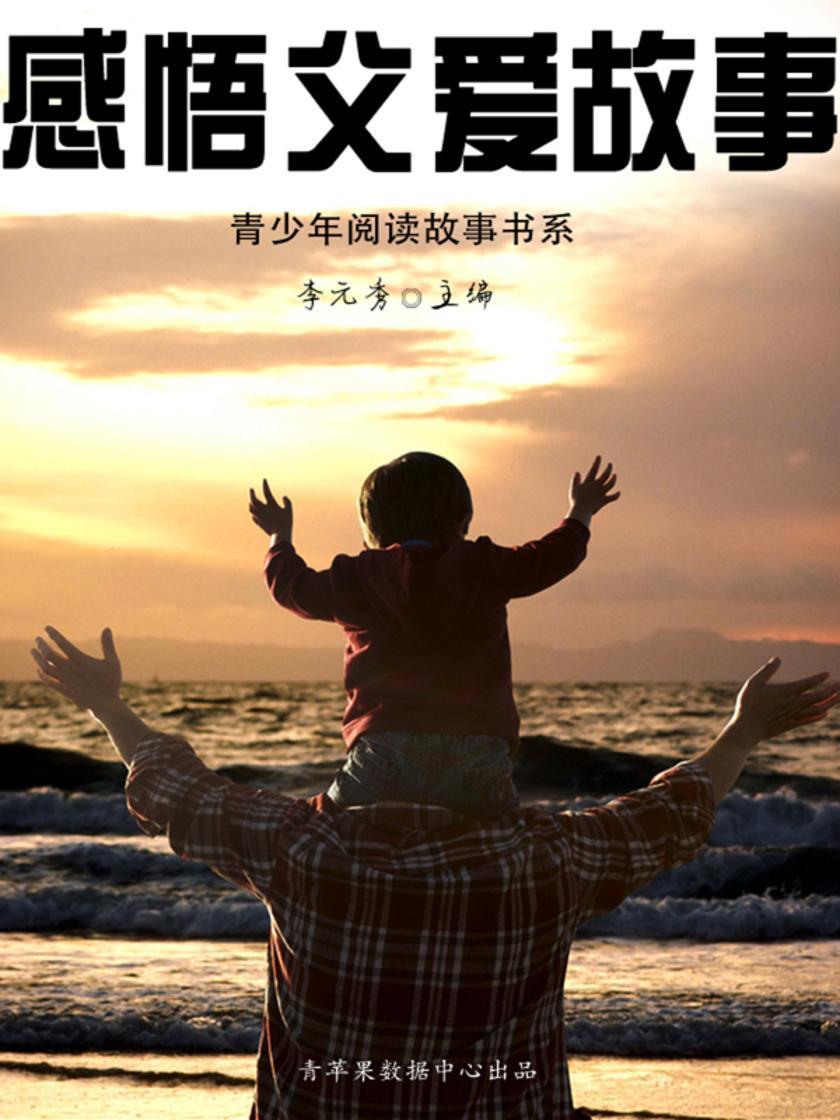 感悟父爱故事（青少年阅读故事书系）