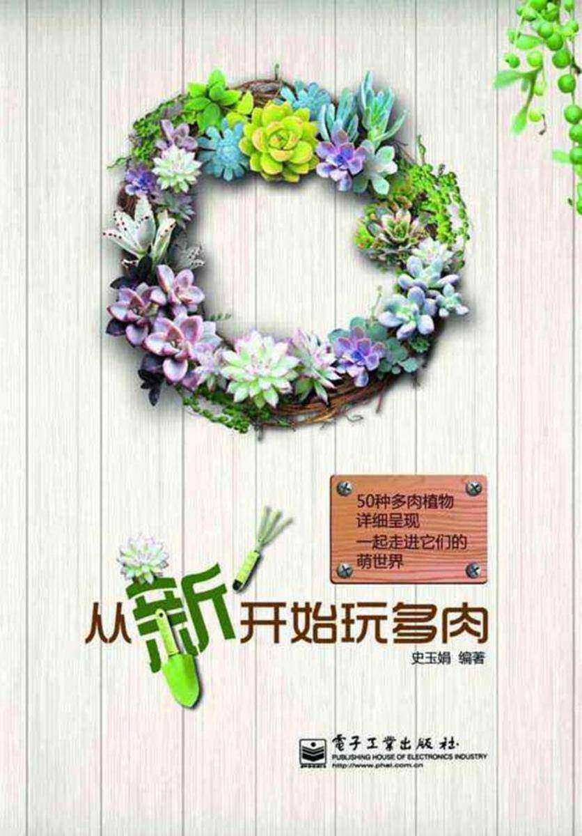 从“新”开始玩多肉